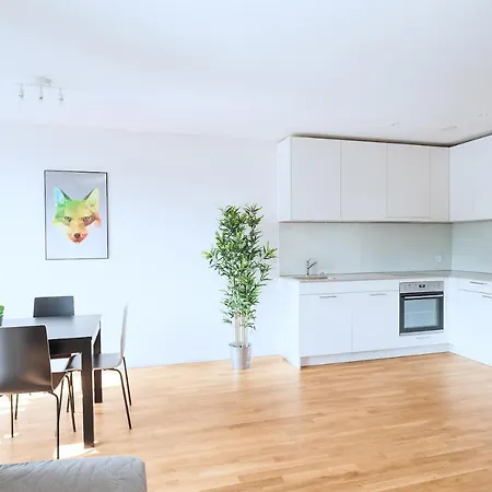 Hitrental Apartment Basel